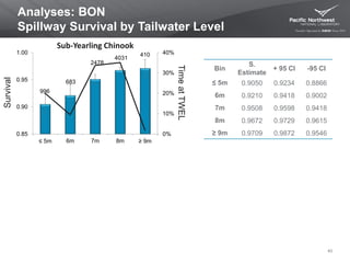 996
683
2478
4031
410
0%
10%
20%
30%
40%
0.85
0.90
0.95
1.00
≤ 5m 6m 7m 8m ≥ 9m
40
Analyses: BON
Spillway Survival by Tailwater Level
Bin
S.
Estimate
+ 95 CI -95 CI
≤ 5m 0.9050 0.9234 0.8866
6m 0.9210 0.9418 0.9002
7m 0.9508 0.9598 0.9418
8m 0.9672 0.9729 0.9615
≥ 9m 0.9709 0.9872 0.9546
Survival
TimeatTWEL
Sub-Yearling Chinook
 