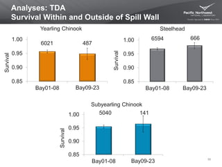 6021 487
0.85
0.90
0.95
1.00
Bay01-08 Bay09-22
Analyses: TDA
Survival Within and Outside of Spill Wall
50
Yearling Chinook
Survival
Survival
Steelhead
6594 666
0.85
0.90
0.95
1.00
Bay01-08 Bay09-22
5040 141
0.85
0.90
0.95
1.00
Bay01-08 Bay09-22
Subyearling Chinook
Survival
Bay09-23
Bay09-23
Bay09-23
 