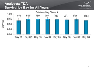 Analyses: TDA
Survival by Bay for All Years
56
410 654 750 787 833 901 864 1561
0.80
0.85
0.90
0.95
1.00
Bay 01 Bay 02 Bay 03 Bay 04 Bay 05 Bay 06 Bay 07 Bay 08
Survival
Sub-Yearling Chinook
 