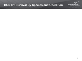 BON B1 Survival By Species and Operation
6
 
