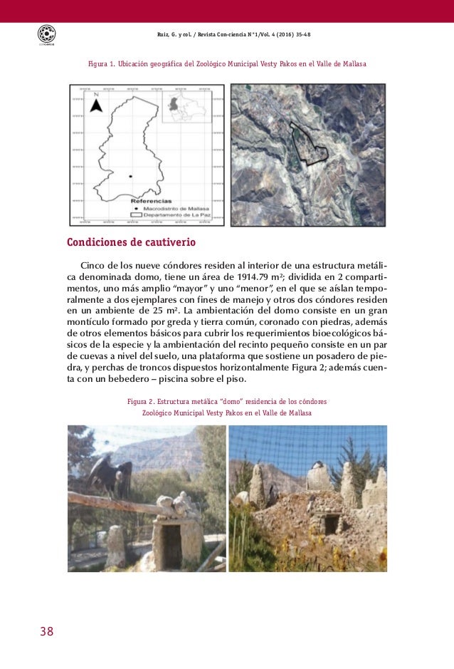 Edexcel igcse english language anthology notes image