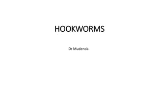 HOOKWORMS
Dr Mudenda
 