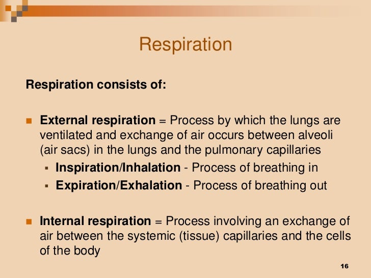 trachea flow from the the alveoli air to System Respiratory