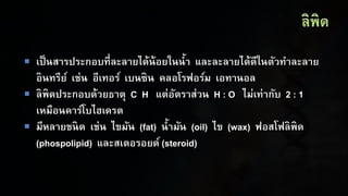  เป็นสารประกอบที่ละลายได้น้อยในน้า และละลายได้ดีในตัวทาละลาย
อินทรีย์ เช่น อีเทอร์ เบนซิน คลอโรฟอร์ม เอทานอล
 ลิพิดประกอบด้วยธาตุ C H แต่อัตราส่วน H : O ไม่เท่ากับ 2 : 1
เหมือนคาร์โบไฮเดรต
 มีหลายชนิด เช่น ไขมัน (fat) น้ามัน (oil) ไข (wax) ฟอสโฟลิพิด
(phospolipid) และสเตอรอยด์ (steroid)
 