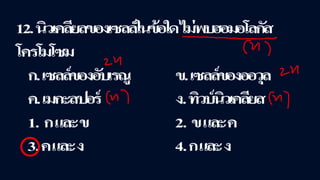 ข้อสอบ+เฉลย การสืบพันธุ์ของพืชดอก ชั้นมัธยมศึกษาปีที่ 5