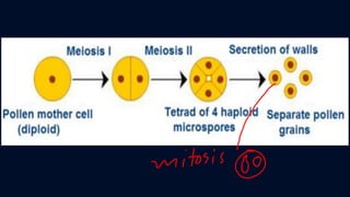 ข้อสอบ+เฉลย การสืบพันธุ์ของพืชดอก ชั้นมัธยมศึกษาปีที่ 5