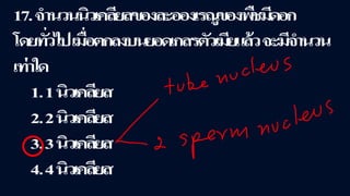 ข้อสอบ+เฉลย การสืบพันธุ์ของพืชดอก ชั้นมัธยมศึกษาปีที่ 5