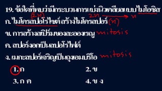 ข้อสอบ+เฉลย การสืบพันธุ์ของพืชดอก ชั้นมัธยมศึกษาปีที่ 5