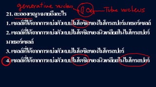 ข้อสอบ+เฉลย การสืบพันธุ์ของพืชดอก ชั้นมัธยมศึกษาปีที่ 5