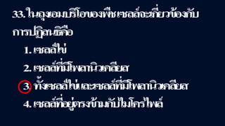 ข้อสอบ+เฉลย การสืบพันธุ์ของพืชดอก ชั้นมัธยมศึกษาปีที่ 5