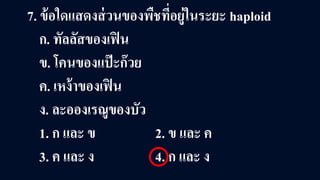 7. ข้อใดแสดงส่วนของพืชที่อยู่ในระยะ haploid
ก. ทัลลัสของเฟิน
ข. โคนของแป๊ะก๊วย
ค. เหง้าของเฟิน
ง. ละอองเรณูของบัว
1. ก และ ข 2. ข และ ค
3. ค และ ง 4. ก และ ง
 