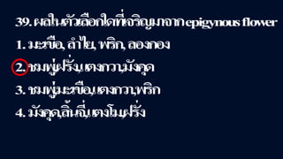 ข้อสอบ+เฉลย การสืบพันธุ์ของพืชดอก ชั้นมัธยมศึกษาปีที่ 5