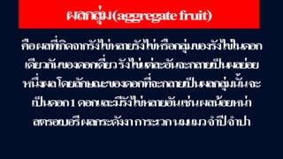 ข้อสอบ+เฉลย การสืบพันธุ์ของพืชดอก ชั้นมัธยมศึกษาปีที่ 5