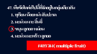 ข้อสอบ+เฉลย การสืบพันธุ์ของพืชดอก ชั้นมัธยมศึกษาปีที่ 5
