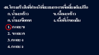 ข้อสอบ+เฉลย การสืบพันธุ์ของพืชดอก ชั้นมัธยมศึกษาปีที่ 5