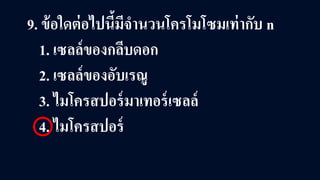 9. ข้อใดต่อไปนี้มีจํานวนโครโมโซมเท่ากับ n
1. เซลล์ของกลีบดอก
2. เซลล์ของอับเรณู
3. ไมโครสปอร์มาเทอร์เซลล์
4. ไมโครสปอร์
 