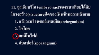 11. ถุงเอ็มบริโอ (embryo sac)ของชบาเทียบได้กับ
โครงสร้าง(structure)ใดของเฟินข้าหลวงหลังลาย
1. อวัยวะสร้างเซลล์เพศเมีย(archegonium)
2. ไซโกต
3. แกมีโทไฟต์
4. อับสปอร์(sporangium)
 
