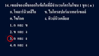 14. เซลล์ของพืชดอกในข้อใดที่มีจํานวนโครโมโซม 1 ชุด ( n )
ก. โพลาร์นิวคลีไอ ข. ไมโครสปอร์มาเทอร์เซลล์
ค. ไซโกต ง. ทิวบ์นิวเคลียส
1. ก และ ข
2. ข และ ง
3. ก และ ง
4. ค และ ง
 