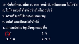 19. ข้อใดที่พบว่ามีกระบวนการแบ่งนิวเคลียสแบบ ไมโอซิส
ก. ไมโครสปอโรไซต์ สร้างไมโครสปอร์
ข. การสร้างสเปิร์มของละอองเรณู
ค. สปอร์งอกเป็นสปอโรไฟต์
ง. เมกะสปอร์เจริญเป็นถุงเอมบริโอ
1. ก 2. ข
3. ก ค 4. ข ง
 