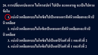 20. การเปลี่ยนแปลงจาก ไมโครสปอร์ ไปเป็น ละอองเรณู จะเป็นไปตาม
ข้อใด
1. แบ่งนิวเคลียสแบบไมโทซิสไปเป็นเจเนอเรทีฟนิวเคลียสและทิวป์
นิวเคลียส
2. แบ่งนิวเคลียสแบบไมโอซิสเป็นเจเนอเรทีฟนิวเคลียสและทิวป์
นิวเคลียส
3. แบ่งนิวเคลียสแบบไมโทซิสไปเป็นสเปิร์มตัวที่ 1 และตัวที่ 2
4. แบ่งนิวเคลียสแบบไมโอซิสไปเป็นสเปิร์มตัวที่ 1 และตัวที่ 2
 