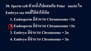 30. Sperm cell ตัวหนึ่งไปผสมกับ Polar nuclei ใน
Embryo sac ผลที่ได้ทําให้เกิด
1. Endosperm มีจํานวน Chromosome =2n
2. Endosperm มีจํานวน Chromosome =3n
3. Embryo มีจํานวน Chromsome = 2n
4. Embryo มีจํานวน Chromsome = 3n
 