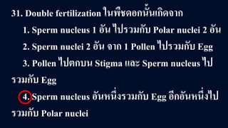 31. Double fertilization ในพืชดอกนั้นเกิดจาก
1. Sperm nucleus 1 อัน ไปรวมกับ Polar nuclei 2 อัน
2. Sperm nuclei 2 อัน จาก 1 Pollen ไปรวมกับ Egg
3. Pollen ไปตกบน Stigma และ Sperm nucleus ไป
รวมกับ Egg
4. Sperm nucleus อันหนึ่งรวมกับ Egg อีกอันหนึ่งไป
รวมกับ Polar nuclei
 