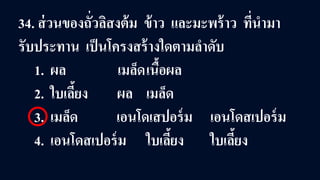 34. ส่วนของถั่วลิสงต้ม ข้าว และมะพร้าว ที่นํามา
รับประทาน เป็นโครงสร้างใดตามลําดับ
1. ผล เมล็ดเนื้อผล
2. ใบเลี้ยง ผล เมล็ด
3. เมล็ด เอนโดเสปอร์ม เอนโดสเปอร์ม
4. เอนโดสเปอร์ม ใบเลี้ยง ใบเลี้ยง
 