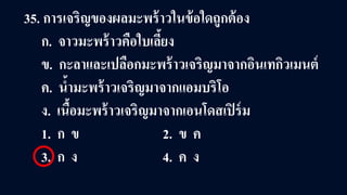 35. การเจริญของผลมะพร้าวในข้อใดถูกต้อง
ก. จาวมะพร้าวคือใบเลี้ยง
ข. กะลาและเปลือกมะพร้าวเจริญมาจากอินเทกิวเมนต์
ค. นํ้ามะพร้าวเจริญมาจากแอมบริโอ
ง. เนื้อมะพร้าวเจริญมาจากเอนโดสเปิร์ม
1. ก ข 2. ข ค
3. ก ง 4. ค ง
 