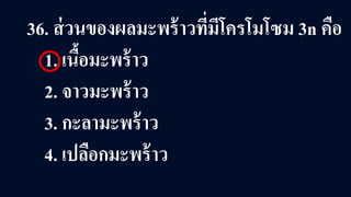 36. ส่วนของผลมะพร้าวที่มีโครโมโซม 3n คือ
1. เนื้อมะพร้าว
2. จาวมะพร้าว
3. กะลามะพร้าว
4. เปลือกมะพร้าว
 