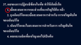 37. ผลของการปฏิสนธิซ้อนในพืช ทําให้เกิดสิ่งใด
1. เยื่อสะสมอาหารและส่วนที่จะเจริญให้ต้น กล้า
2. ถุงเอ็มบริโอและเยื่อสะสมอาหารสําหรับ การเจริญเติบโต
ของเอ็มบริโอ
3. เอ็มบริโอและใบสะสมอาหารสําหรับการ เจริญเติบโต
ของเอ็มบริโอ
4. ผลและเมล็ดเพื่อเจริญงอกไปเป็นต้น
 
