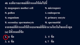 40. จงพิจารณาเซลล์ที่กําหนดให้ต่อไปนี้
ก. megaspore mother cell ข. microspore
ค. pollen ง. endosperm
จ. oogonium ฉ. primary oocyte
ช. seconday spermatocyte ซ. spermattid
จากเซลล์ที่กําหนดให้ด้านบนเซลล์ที่มีจํานวนโครโมโซมหนึ่งชุด
(n) มีทั้งหมดกี่ข้อ
1. 4 ข้อ 2. 5 ข้อ
3. 6 ข้อ 4. 7 ข้อ
 