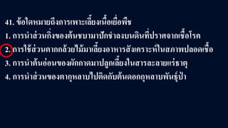 41. ข้อใดหมายถึงการเพาะเลี้ยงเนื้อเยื่อพืช
1. การนําส่วนกิ่งของต้นชบามาปักชําลงบนดินที่ปราศจากเชื้อโรค
2. การใช้ส่วนตากกล้วยไม้มาเลี้ยงอาหารสังเคราะห์ในสภาพปลอดเชื้อ
3. การนําต้นอ่อนของผักกาดมาปลูกเลี้ยงในสารละลายแร่ธาตุ
4. การนําส่วนของตากุหลาบไปติดกับต้นดอกกุหลาบพันธุ์ป่ า
 