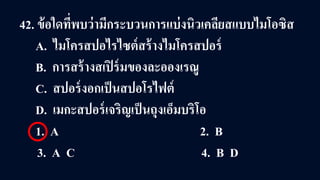 42. ข้อใดที่พบว่ามีกระบวนการแบ่งนิวเคลียสแบบไมโอซิส
A. ไมโครสปอไรไซต์สร้างไมโครสปอร์
B. การสร้างสเปิร์มของละอองเรณู
C. สปอร์งอกเป็นสปอโรไฟต์
D. เมกะสปอร์เจริญเป็นถุงเอ็มบริโอ
1. A 2. B
3. A C 4. B D
 