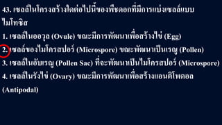43. เซลล์ในโครงสร้างใดต่อไปนี้ของพืชดอกที่มีการแบ่งเซลล์แบบ
ไมโทซิส
1. เซลล์ในออวุล (Ovule) ขณะมีการพัฒนาเพื่อสร้างไข่ (Egg)
2. เซลล์ของไมโครสปอร์ (Microspore) ขณะพัฒนาเป็นเรณู (Pollen)
3. เซลล์ในอับเรณู (Pollen Sac) ที่จะพัฒนาเป็นไมโครสปอร์ (Microspore)
4. เซลล์ในรังไข่ (Ovary) ขณะมีการพัฒนาเพื่อสร้างแอนติโพดอล
(Antipodal)
 