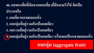 46. ผลของพืชที่เกิดจากดอกเดี่ยวที่มีหลายรังไข่ จัดเป็น
ประเภทใด
1. ผลเดี่ยวหลายผลบนกิ่ง
2. ผลกลุ่มที่อยู่รวมกันเป็นผลเดียว
3. ผลรวมที่อยุ่รวมกันเป็นผลเดียว
4. ผลกลุ่มที่อยู่รวมกันเป็นผลเดียว หรือแยกเป็นหลายผลบนกิ่ง
ผลกลุ่ม (aggregate fruit)
 