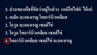 3. ส่วนของพืชที่จัดว่าอยู่ในช่วง แกมีโตไฟต์ ได้แก่
1. เมล็ด ละอองเรณู โพลาร์นิวเคลียส
2. โอวูล ละอองเรณู เซลล์ไข่
3. โอวูล โพลาร์นิวเคลียส เซลล์ไข่
4. โพลาร์นิวเคลียส เซลล์ไข่ ละอองเรณู
 