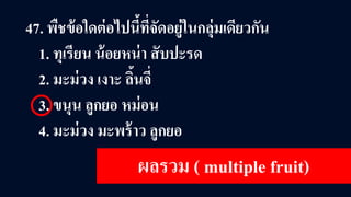 47. พืชข้อใดต่อไปนี้ที่จัดอยู่ในกลุ่มเดียวกัน
1. ทุเรียน น้อยหน่า สับปะรด
2. มะม่วง เงาะ ลิ้นจี่
3. ขนุน ลูกยอ หม่อน
4. มะม่วง มะพร้าว ลูกยอ
ผลรวม ( multiple fruit)
 