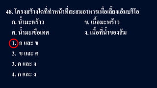 48. โครงสร้างใดที่ทําหน้าที่สะสมอาหารเพื่อเลี้ยงเอ็มบริโอ
ก. นํ้ามะพร้าว ข. เนื้อมะพร้าว
ค. นํ้ามะเขือเทศ ง. เนื้อที่นํ้าของส้ม
1. ก และ ข
2. ข และ ค
3. ค และ ง
4. ก และ ง
 