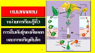 ข้อสอบ+เฉลย การสืบพันธุ์ของพืชดอก ชั้นมัธยมศึกษาปีที่ 5