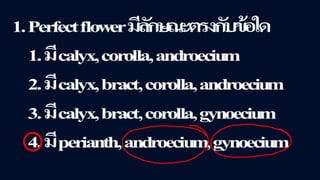 ข้อสอบ+เฉลย การสืบพันธุ์ของพืชดอก ชั้นมัธยมศึกษาปีที่ 5