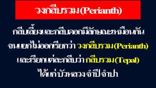 ข้อสอบ+เฉลย การสืบพันธุ์ของพืชดอก ชั้นมัธยมศึกษาปีที่ 5
