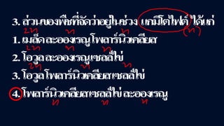 ข้อสอบ+เฉลย การสืบพันธุ์ของพืชดอก ชั้นมัธยมศึกษาปีที่ 5