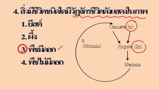 ข้อสอบ+เฉลย การสืบพันธุ์ของพืชดอก ชั้นมัธยมศึกษาปีที่ 5