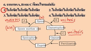 ข้อสอบ+เฉลย การสืบพันธุ์ของพืชดอก ชั้นมัธยมศึกษาปีที่ 5