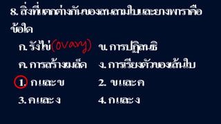 ข้อสอบ+เฉลย การสืบพันธุ์ของพืชดอก ชั้นมัธยมศึกษาปีที่ 5