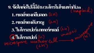ข้อสอบ+เฉลย การสืบพันธุ์ของพืชดอก ชั้นมัธยมศึกษาปีที่ 5