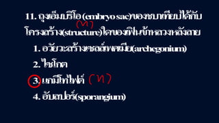 ข้อสอบ+เฉลย การสืบพันธุ์ของพืชดอก ชั้นมัธยมศึกษาปีที่ 5