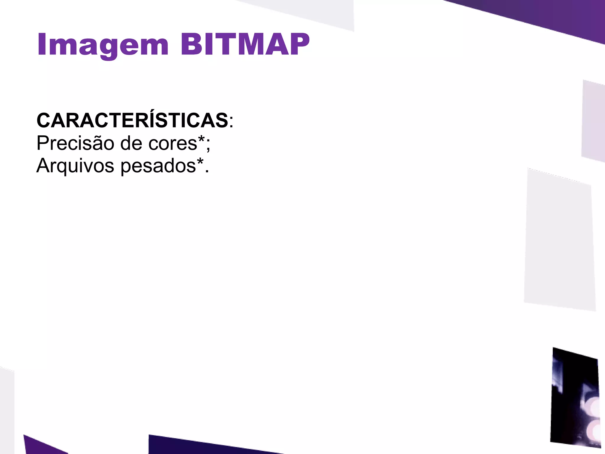 Imagem BITMAP CARACTERÍSTICAS : Precisão de cores*; Arquivos pesados*. 