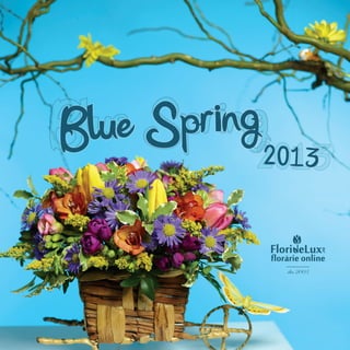 Blue Spring 2013 - FlorideLux.ro