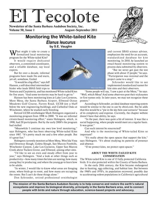 El TecoloteNewsletter of the Santa Barbara Audubon Society, Inc.
Volume 50, Issue 1				 August–September 2011
The mission of the Santa Barbara Audubon Society is to help conserve and restore the earth’s natural
ecosystems and improve its biological diversity, principally in the Santa Barbara area, and to connect
people with birds and nature through education, science-based projects and advocacy.
What might it take to create a
formalized local monitoring
program for the White-tailed Kite?
It would require dedicated
observers, a committed coordinator,
and a reliable database, say local
experts.
But for over a decade, informal
programs have made fits and starts,
yet all, somehow, fizzled.
“It would be a big effort,” says Jeff
Hanson, a self-described intermediate
birder who leads SBAS field trips to
Ventura and Carpinteria, and has monitored White-tailed Kites
for five years. “And some territories may be hard to get to.”
Hanson has been monitoring kites at Lake Los Carneros,
More Mesa, the Santa Barbara Airport, Ellwood Ocean
Meadows Golf Course, Farren Road, UCSB (on a bluff
below the new engineering building), and Cathedral Oaks at
Winchester, where he studied early breeding.
Retired UCSB ornithologist Mark Holmgren organized a
monitoring program from 1998 to 2000. “It was an informal
citizen-based monitoring effort,” states Holmgren, which, in
1998, had 20 participants. But by the early 2000’s the program
had stalled.
“Meanwhile I continue my own low level monitoring,”
says Holmgren, who has been observing White-tailed Kites
since 1987. “It’s pretty much me and a few other people. But
it’s great fun.”
Holmgren currently monitors at More Mesa, West Isla Vista
and Devereux Slough, Goleta Slough, San Marcos Foothills,
Winchester Canyon, Lake Los Carneros, Upper San Marcos
Creek above Tuckers Grove, and Ellwood, among other sites.
“I’d like to see an even and steady effort from year to
year,” says Holmgren. “And a look at other things such as
productivity—how many times the kites are nesting; how many
young they’re producing; and where the young go to learn how
to be adults.
“In winter, I would like to know what areas are foraging
areas, where birds go to roost, and how many are occupying
the roosts. But I can’t do these things alone.”
Don Schroeder, retired professional ornithologist
and current SBAS science advisor,
emphasizes the need for an accurate,
standardized database for kite
monitoring. In 2010, he launched an
email-based monitoring system to
process data submitted by observers.
“But we never got past the test
phase with about 15 people,” he says.
“Participation was minimal and the
project came to a stop.”
Schroeder would like to see
implemented standardized names for
kite sites and their observers.
“Some people will say, ‘I saw a pair at the Mesa,’” he says.
“Well, which Mesa? And some observers post their nicknames
or first names only. In later years, we may not recognize these
posters.”
According to Schroeder, an ideal database reporting system
would be similar to the one in use by ebird.com. But he adds
that this would be a “pie in the sky best case scenario” because
of its complexity and expense. Currently, the chapter website
doesn’t have that ability, he says.
“In the past, there was quite a bit of interest. It was like a
social happening, where people would meet on a regular basis.
It was great.”
Can such interest be resurrected?
And why is the monitoring of White-tailed Kites so
important?
“It’s really about the open spaces that support the kite,”
says Holmgren. “It’s about studying its patterns of presence
and absence.
“If we protect kites, we protect open spaces.”
ABOUT THE WHITE-TAILED KITE
CONSERVATION
The White-tailed Kite is one of 13 fully protected California
birds. It is also protected within the County of Santa Barbara.
In the early 20th century, the Kite became endangered
due to hunting, egg collecting, and habitat loss. But between
the 1940’s and 1970’s, its population recovered, possibly due
to accelerating rodent populations in California’s agricultural
Monitoring the White-tailed Kite
Elanus leucurus
by S.E. Vaughn
Photo: Lynn Watson
 